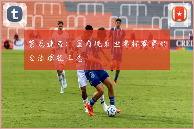 紧急速查：国内观看世界杯赛事的合法途径汇总