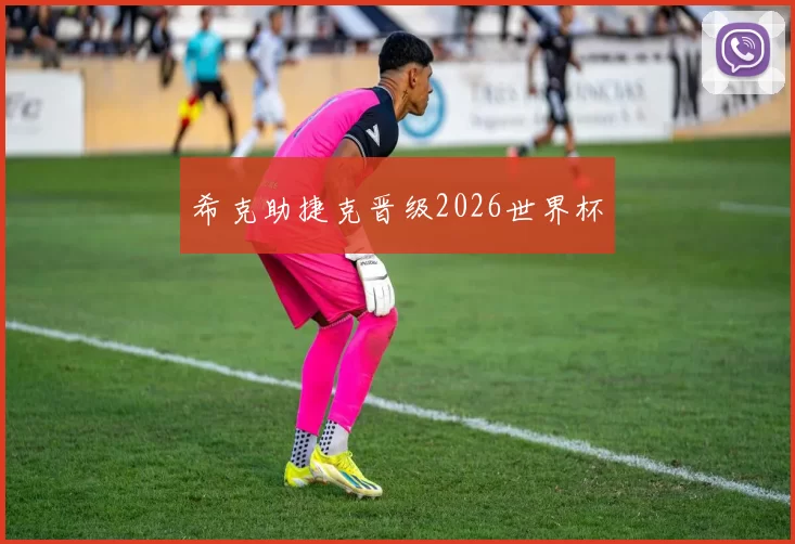 希克助捷克晋级2026世界杯