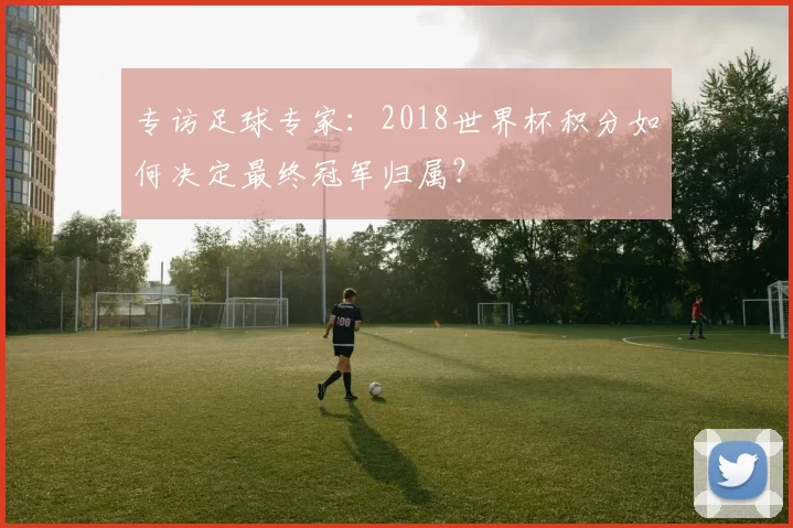 专访足球专家：2018世界杯积分如何决定最终冠军归属？