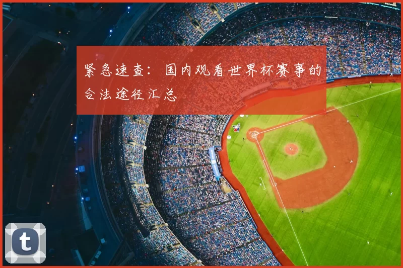 紧急速查：国内观看世界杯赛事的合法途径汇总