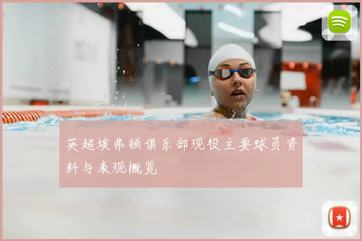 英超埃弗顿俱乐部现役主要球员资料与表现概览