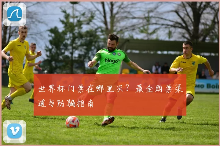 世界杯门票在哪里买?最全购票渠道与防骗指南
