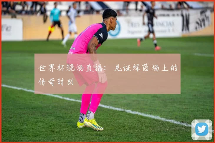 世界杯现场直播：见证绿茵场上的传奇时刻