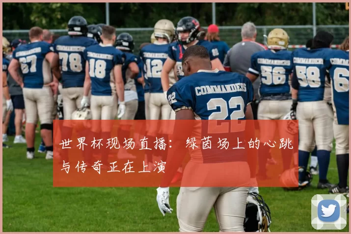 世界杯现场直播：绿茵场上的心跳与传奇正在上演