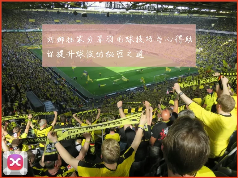 刘娜独家分享羽毛球技巧与心得助你提升球技的秘密之道