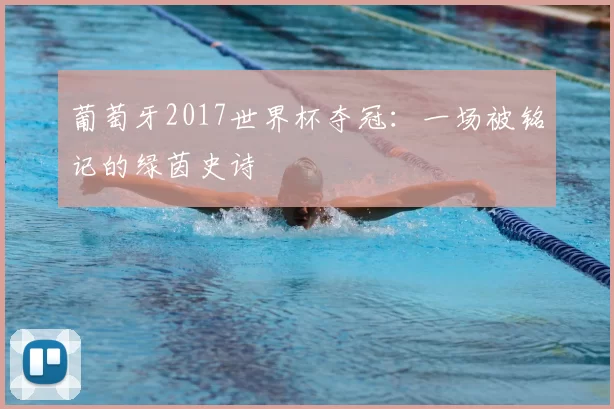 葡萄牙2017世界杯夺冠：一场被铭记的绿茵史诗