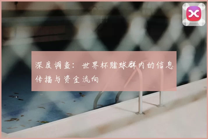 深度调查：世界杯赌球群内的信息传播与资金流向