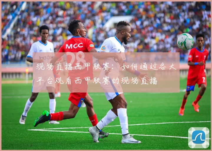 现场直播西甲联赛:如何通过各大平台观看西甲联赛的现场直播