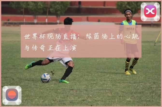 世界杯现场直播：绿茵场上的心跳与传奇正在上演