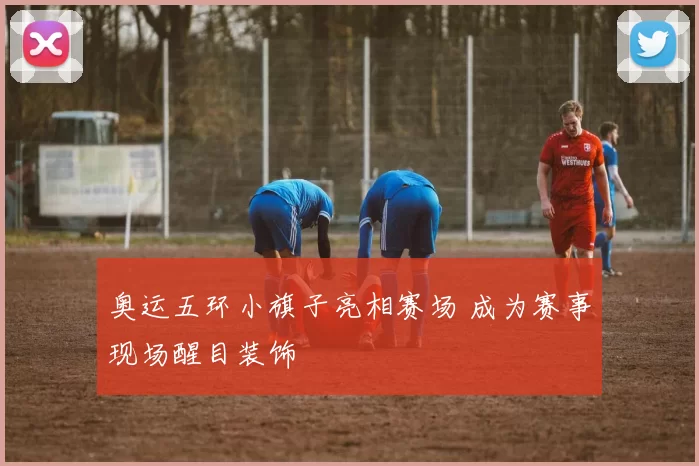 奥运五环小旗子亮相赛场 成为赛事现场醒目装饰
