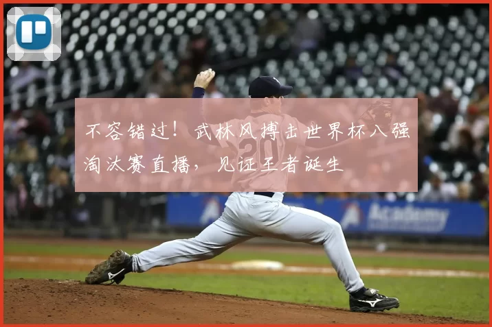 不容错过！武林风搏击世界杯八强淘汰赛直播，见证王者诞生
