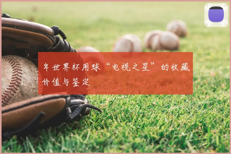 年世界杯用球“电视之星”的收藏价值与鉴定