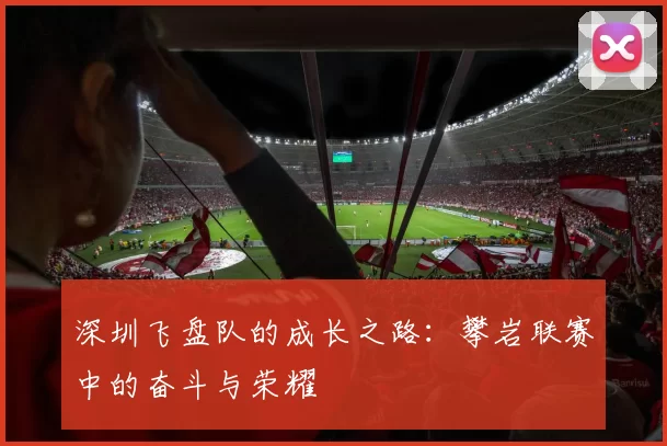 深圳飞盘队的成长之路：攀岩联赛中的奋斗与荣耀
