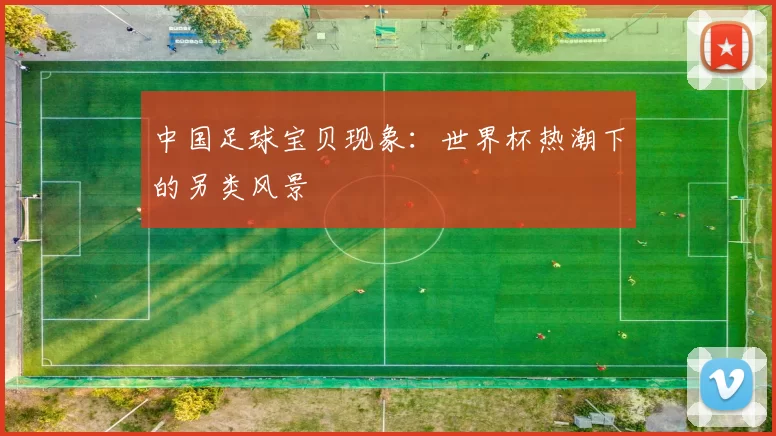 中国足球宝贝现象:世界杯热潮下的另类风景
