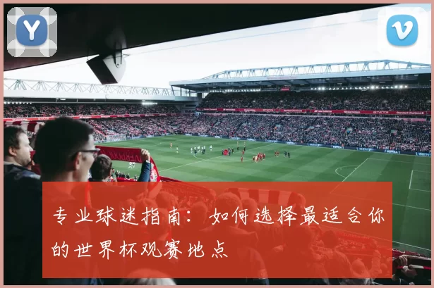 专业球迷指南：如何选择最适合你的世界杯观赛地点