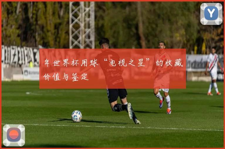 年世界杯用球“电视之星”的收藏价值与鉴定