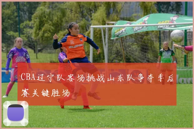 CBA辽宁队客场挑战山东队争夺季后赛关键胜场