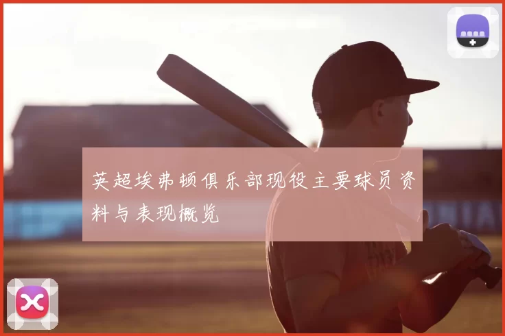 英超埃弗顿俱乐部现役主要球员资料与表现概览