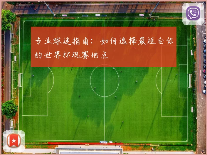 专业球迷指南：如何选择最适合你的世界杯观赛地点