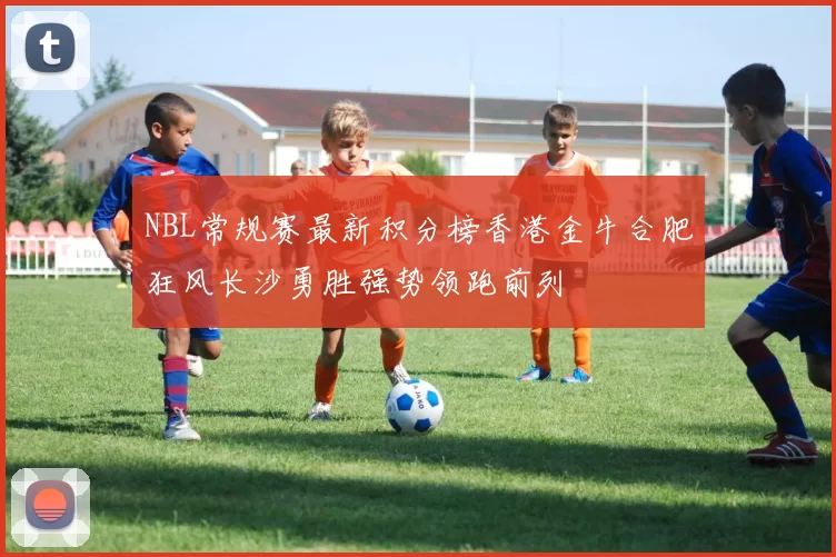 NBL常规赛最新积分榜香港金牛合肥狂风长沙勇胜强势领跑前列
