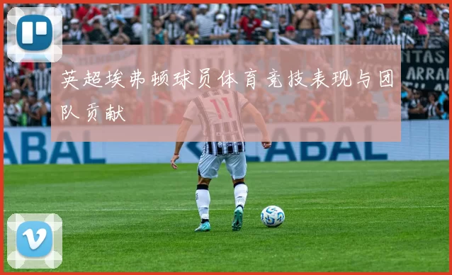 英超埃弗顿球员体育竞技表现与团队贡献