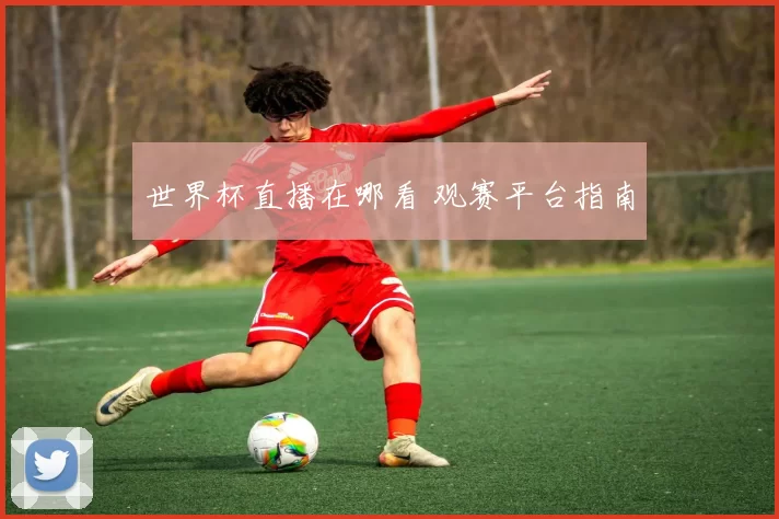 世界杯直播在哪看 观赛平台指南